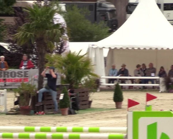 Reitturnier Schnarup-Thumby 2021