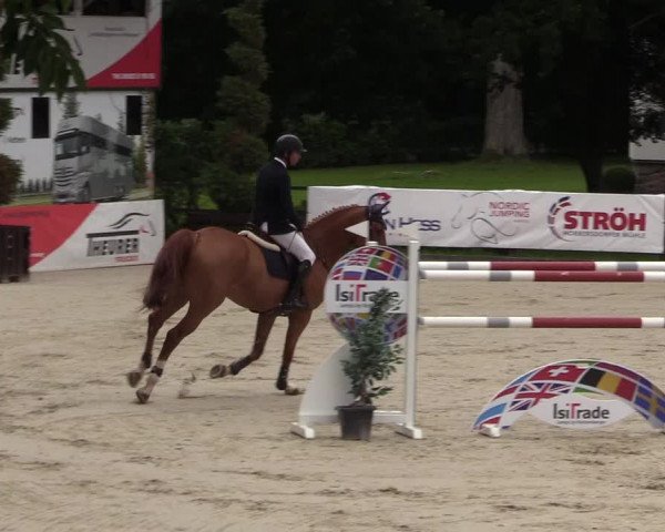 Reitturnier Schnarup-Thumby 2021
