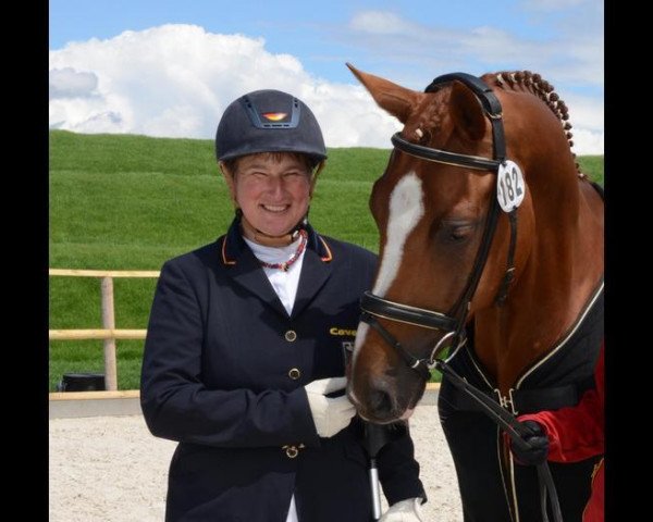 dressage horse Let's Dance (Hanoverian, 2005, from Londonderry)