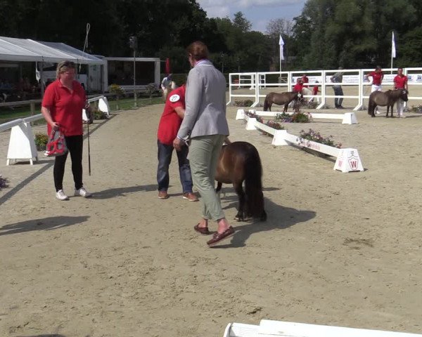 FN-Bundesstutenschau Robustrassen