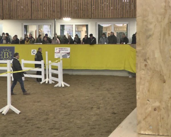 DSP-Freispringchampionat 2019
