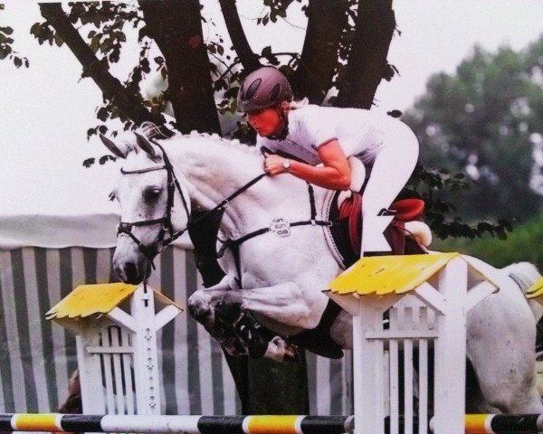 broodmare Love Me 8 (Hanoverian, 2007, from Lord Pezi)