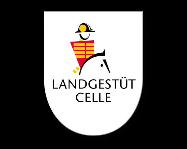 Online Hengstschau Landgestüt Celle 2020