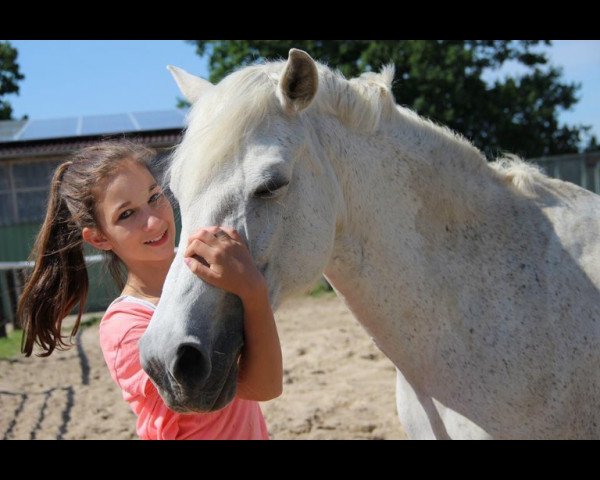 broodmare Gretchen (German Riding Pony, 1995, from Baron)