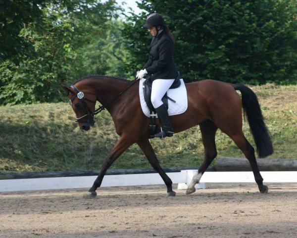 jumper Alassio's Amara (Bavarian, 2007, from Alassio's Boy)