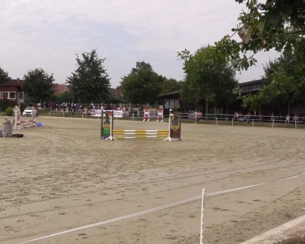Pony Jumping TROPHY - Ascheberg 2021