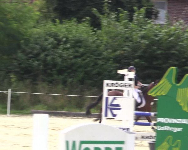 Pony Jumping TROPHY - Ascheberg 2021