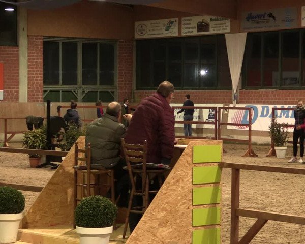 Freispring-Wettbewerb - Sichtung des KRV Borken