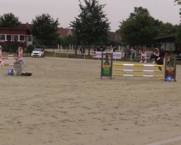 Pony Jumping TROPHY - Ascheberg 2021
