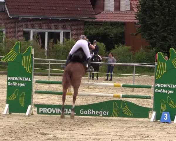 Pony Jumping TROPHY - Ascheberg 2021