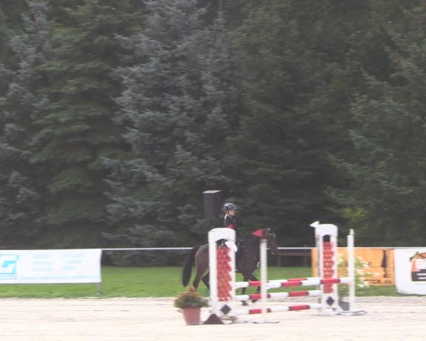 Springturnier Pietzpuhl 2021