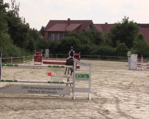 Pony Jumping TROPHY - Ascheberg 2021
