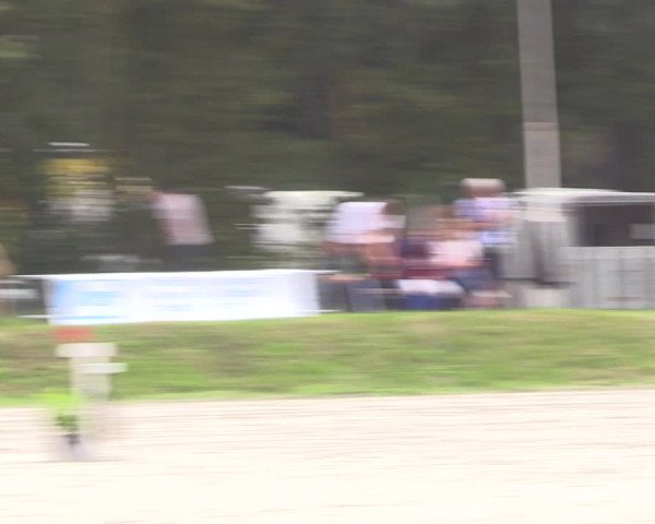 Springturnier Pietzpuhl 2021