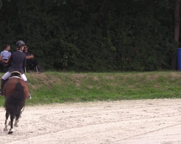 Springturnier Pietzpuhl 2021