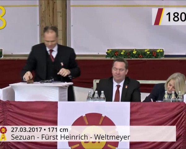 Online Hengstschau Landgestüt Celle 2020