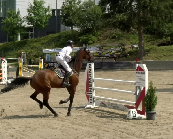 Reitturnier Siegen 2021