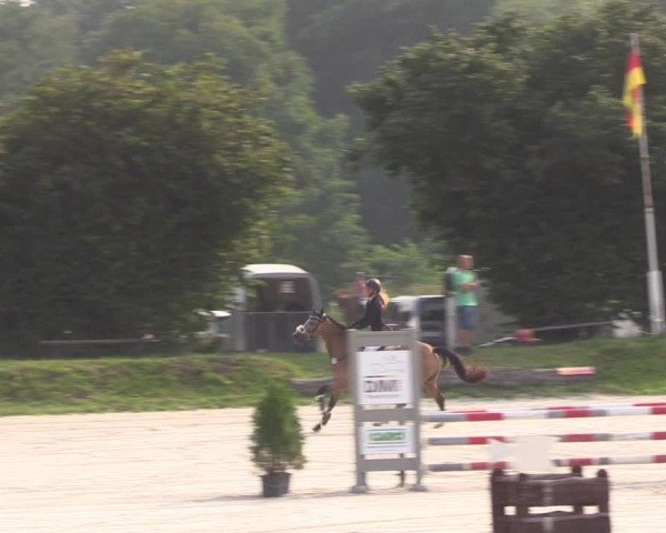 Springturnier Pietzpuhl 2021