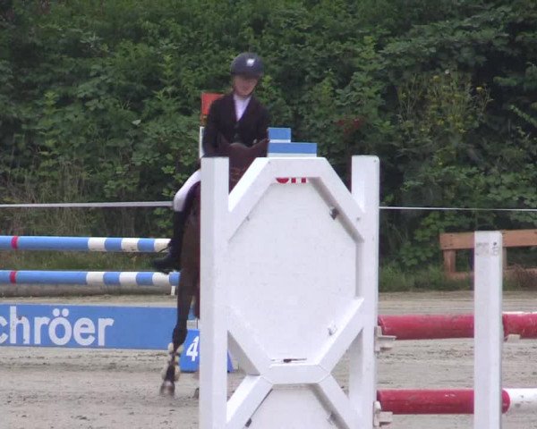 Pony Jumping TROPHY - Ascheberg 2021