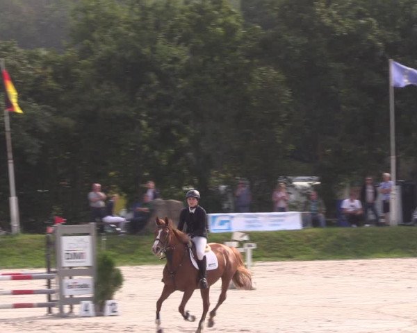 Springturnier Pietzpuhl 2021