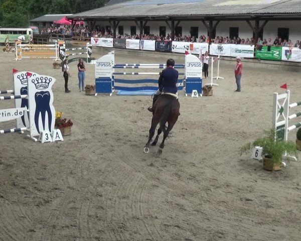 Reitsport Festival am Gut Jagenberg - Solingen 2021
