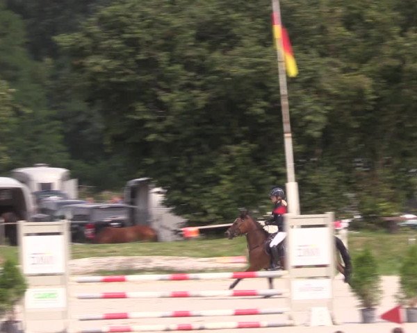 Springturnier Pietzpuhl 2021