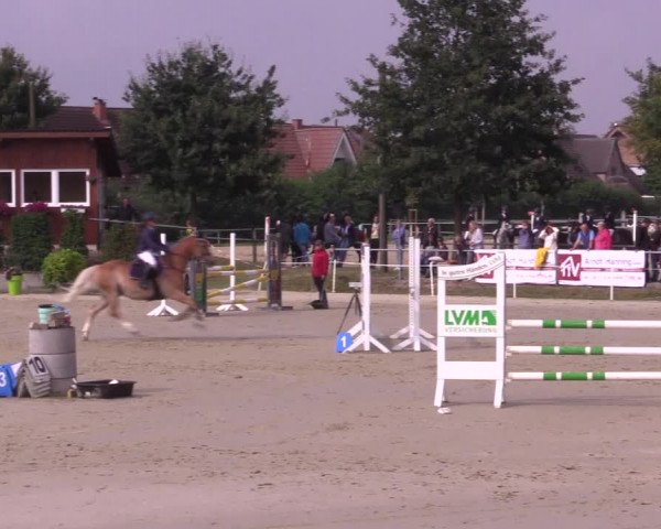 Pony Jumping TROPHY - Ascheberg 2021
