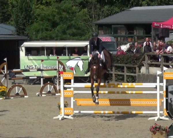 Reitsport Festival am Gut Jagenberg - Solingen 2021