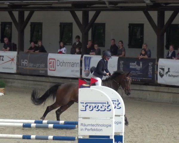 Reitsport Festival am Gut Jagenberg - Solingen 2021