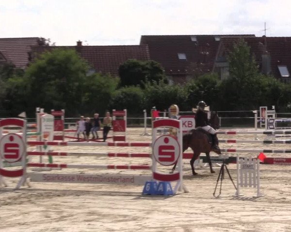 Pony Jumping TROPHY - Ascheberg 2021