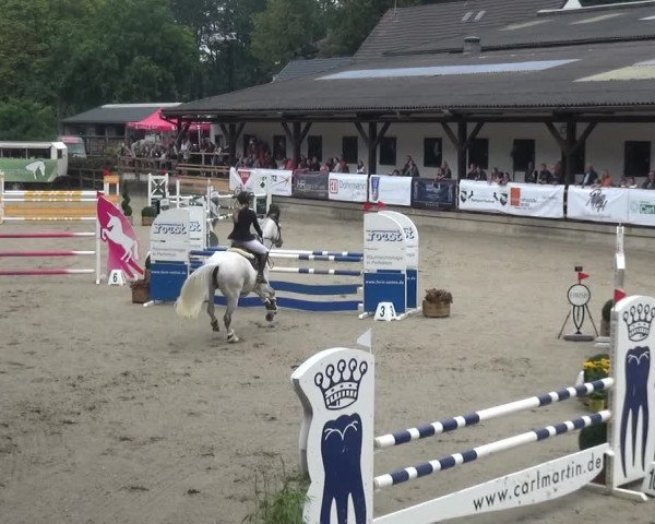 Reitsport Festival am Gut Jagenberg - Solingen 2021