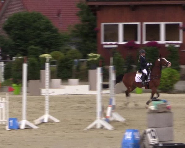 Pony Jumping TROPHY - Ascheberg 2021