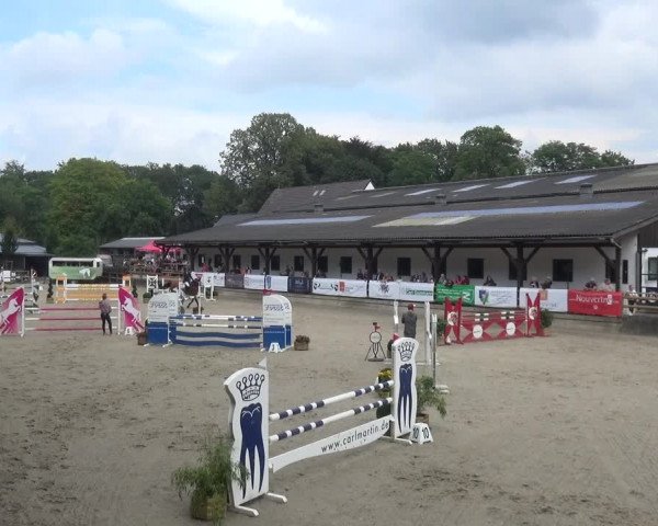 Reitsport Festival am Gut Jagenberg - Solingen 2021