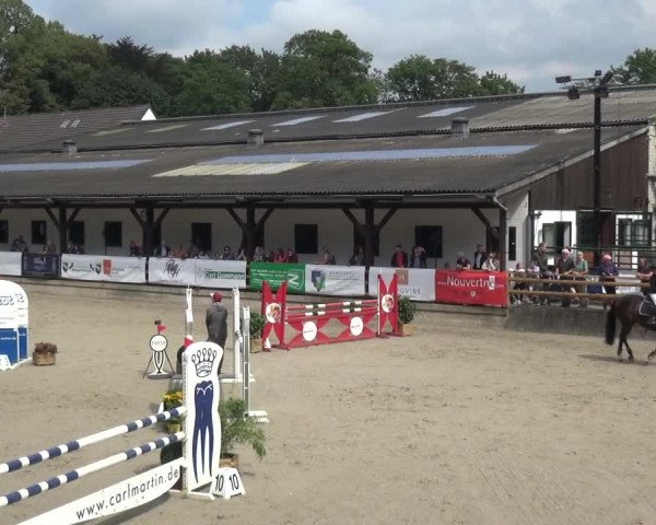 Reitsport Festival am Gut Jagenberg - Solingen 2021