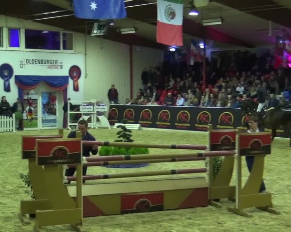 Hengstschau Rene Tebbel - Hengstvorführung 2020