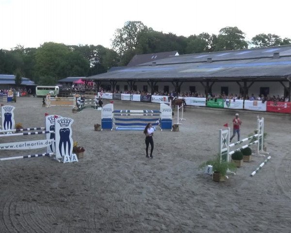 Reitsport Festival am Gut Jagenberg - Solingen 2021