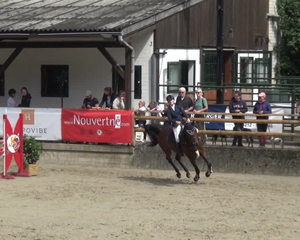 Reitsport Festival am Gut Jagenberg - Solingen 2021