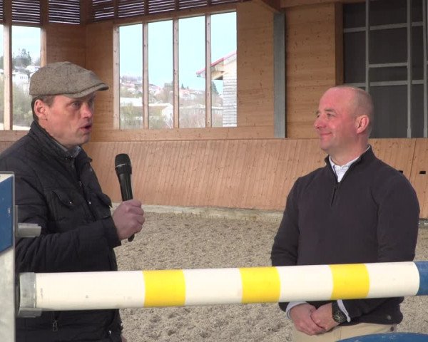 Online Hengstschau Hengststation Bachl 2020