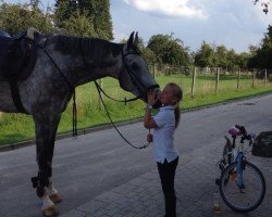 Springpferd Chuccaccino (Württemberger, 2009, von Chucas)