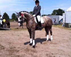 Cavallo da Dressage Sissi (Oldenburger, 2006, di Inselfürst)