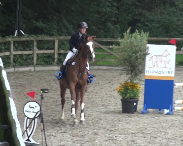 Reitsport Festival am Gut Jagenberg - Solingen 2021