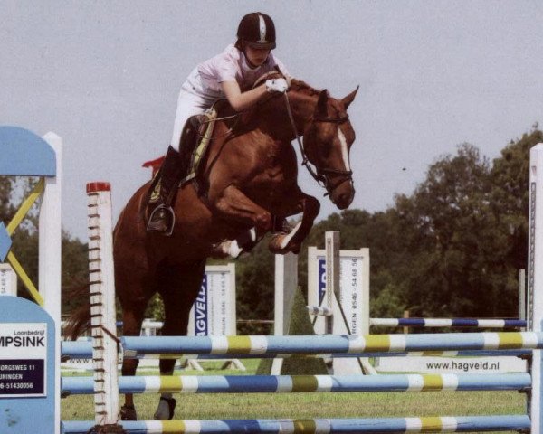 dressage horse Safira (unknown, 2006, from Zodiak)
