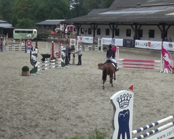 Reitsport Festival am Gut Jagenberg - Solingen 2021