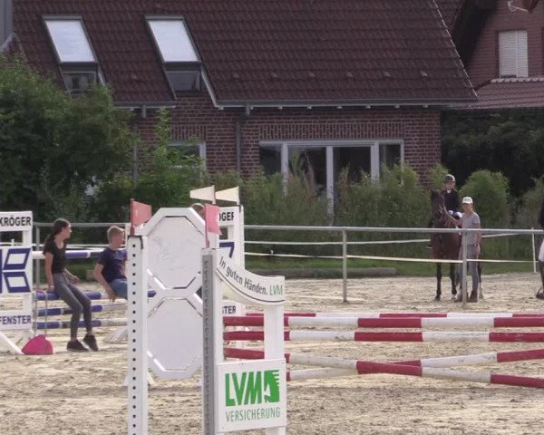 Pony Jumping TROPHY - Ascheberg 2021