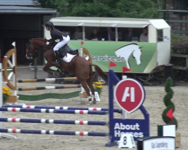 Reitsport Festival am Gut Jagenberg - Solingen 2021