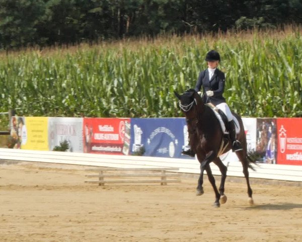 Sommerturnier Ostbevern 2021