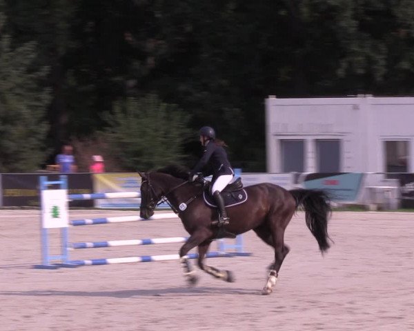 Springturnier Pietzpuhl 2021