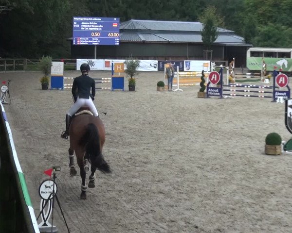 Reitsport Festival am Gut Jagenberg - Solingen 2021