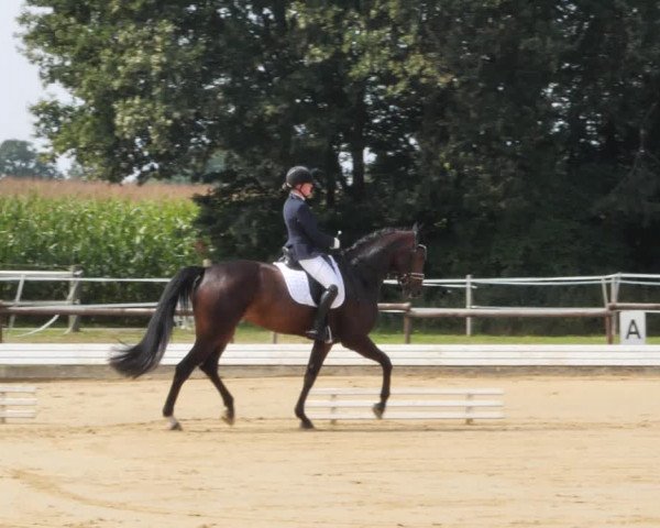 Sommerturnier Ostbevern 2021