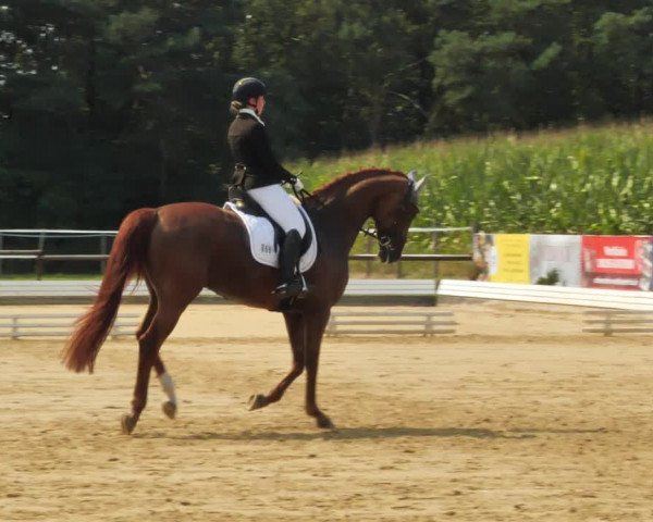 Sommerturnier Ostbevern 2021