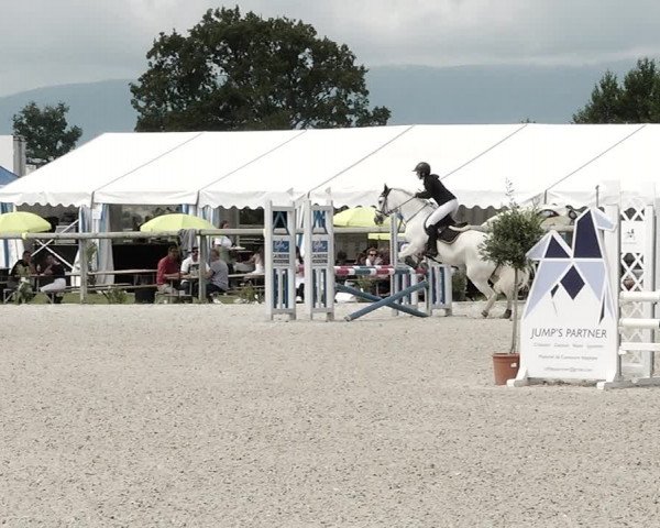Concours Hippique de Dompierre 2021